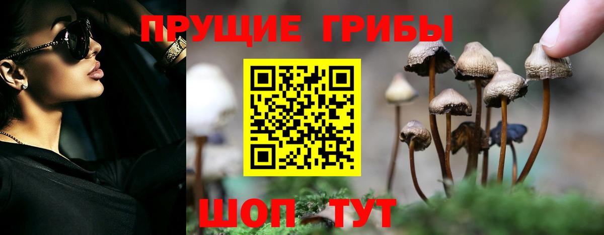Псилоцибиновые грибы GOLDEN TEACHER  Галлюциногенные грибы прущие грибы  Отрадный  Вход с VPN 